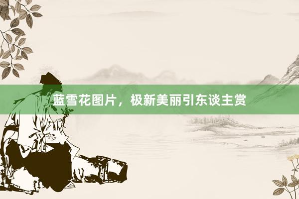 蓝雪花图片,极新美丽引东谈主赏