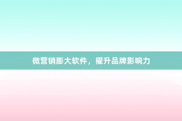 微营销膨大软件，擢升品牌影响力